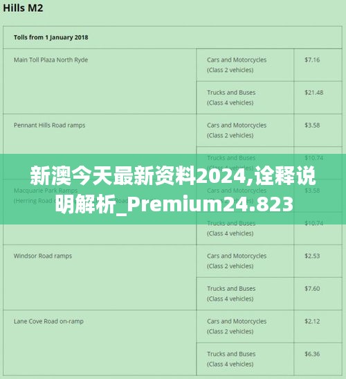 2024新澳最精准资料|精选解释解析落实