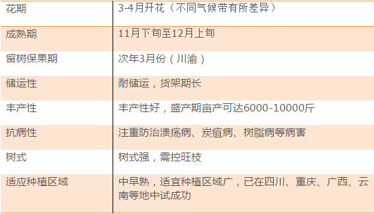 2024年全年資料免費大全優勢|精选解释解析落实