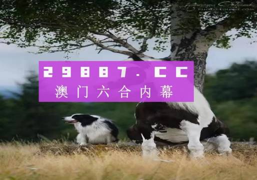 澳门今晚开正版四不像|精选解释解析落实