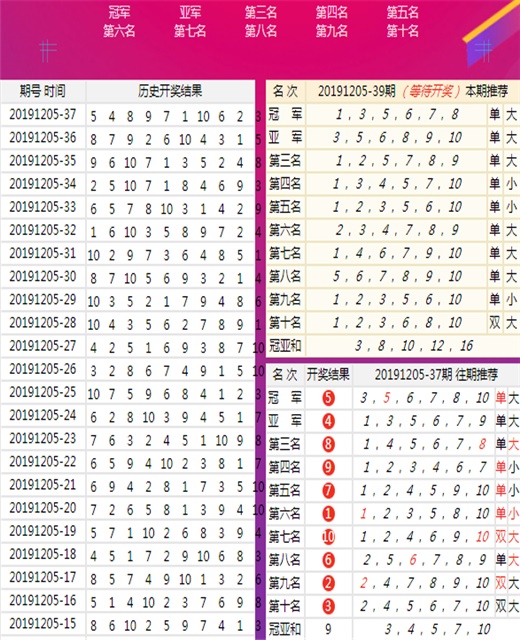 澳门王中王100精准数据解读|精选解释解析落实