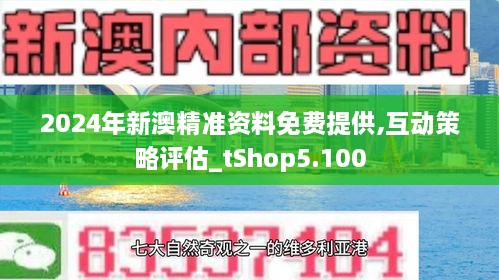 2024新澳正版免费资料|精选解释解析落实