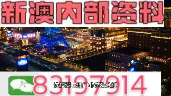 新澳2024年精准资料期期|精选解释解析落实