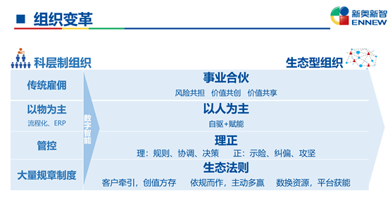 2024新奥今晚开奖记录查询|精选解释解析落实