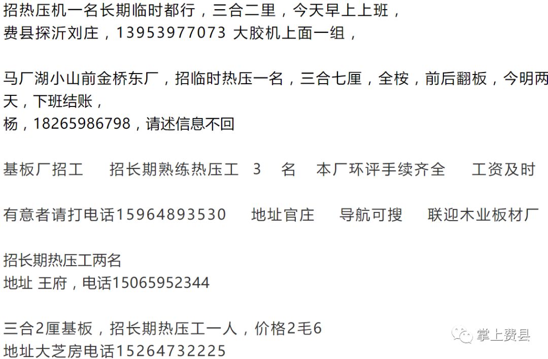 肥城招聘网最新招聘信息网