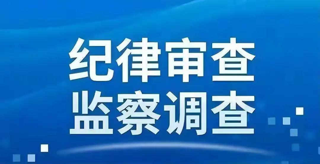 宜宾市向辉礼最新消息