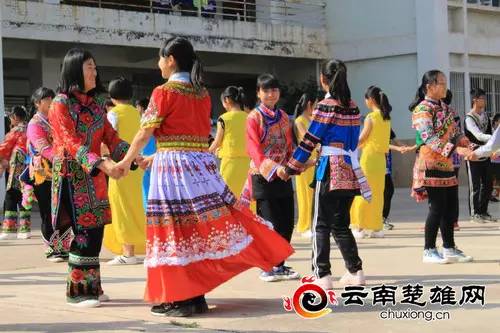 武定民族中学最新消息