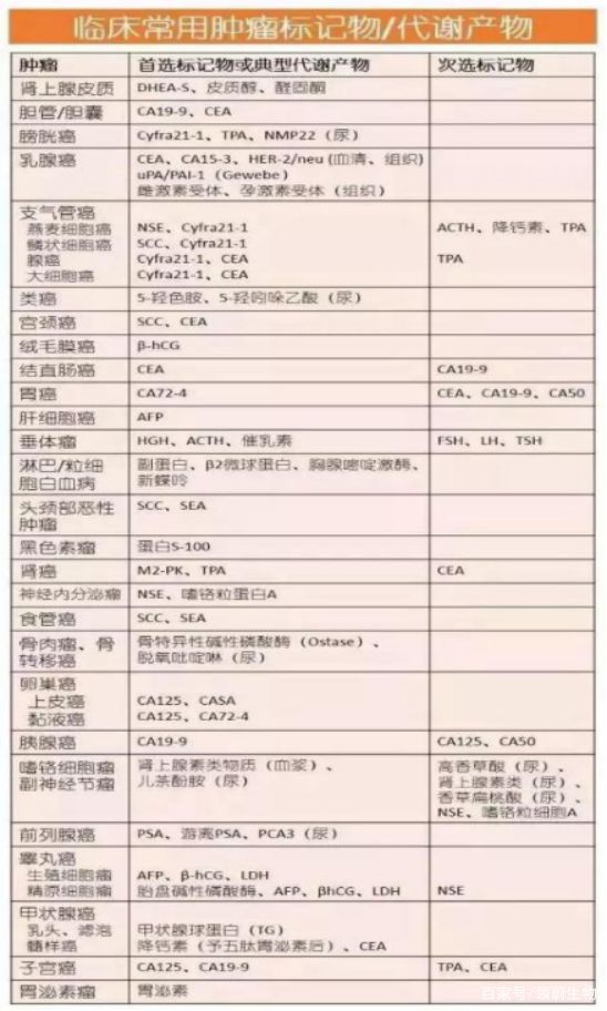 新澳门最准一肖,新澳门最准一肖，探索与解析