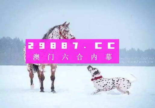 澳门一肖一码100%一中,澳门一肖一码，揭秘预测背后的真相与探索精准之道