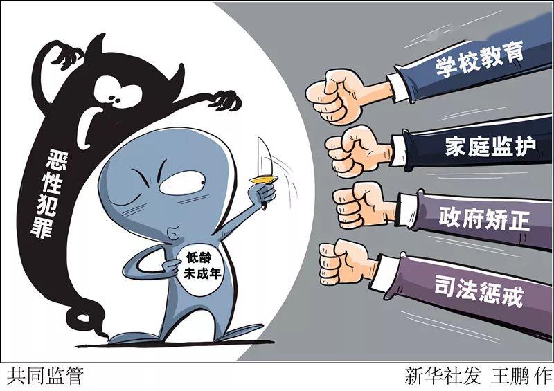 天天彩资料正版免费大全,天天彩资料正版免费大全——揭示违法犯罪问题