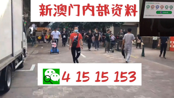 澳门内部中一码资料,澳门内部中一码资料解析