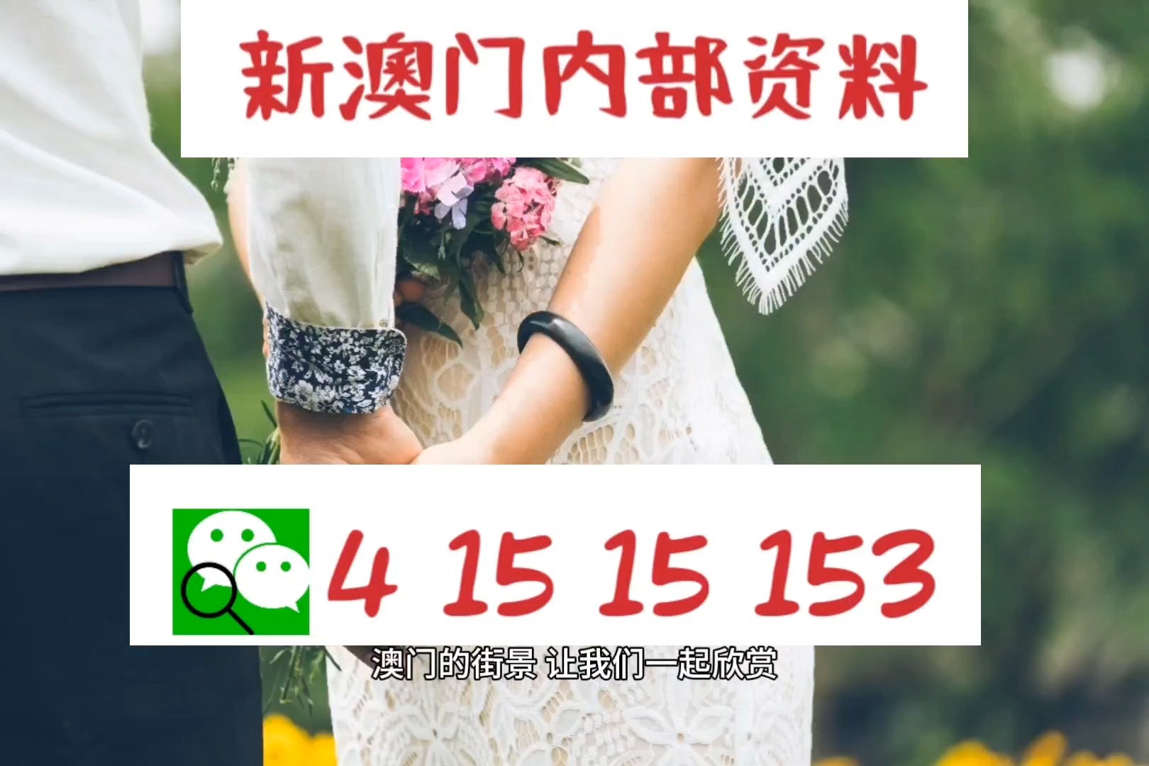 今晚澳门特马开的什么,今晚澳门特马开出的神秘号码，探索与预测