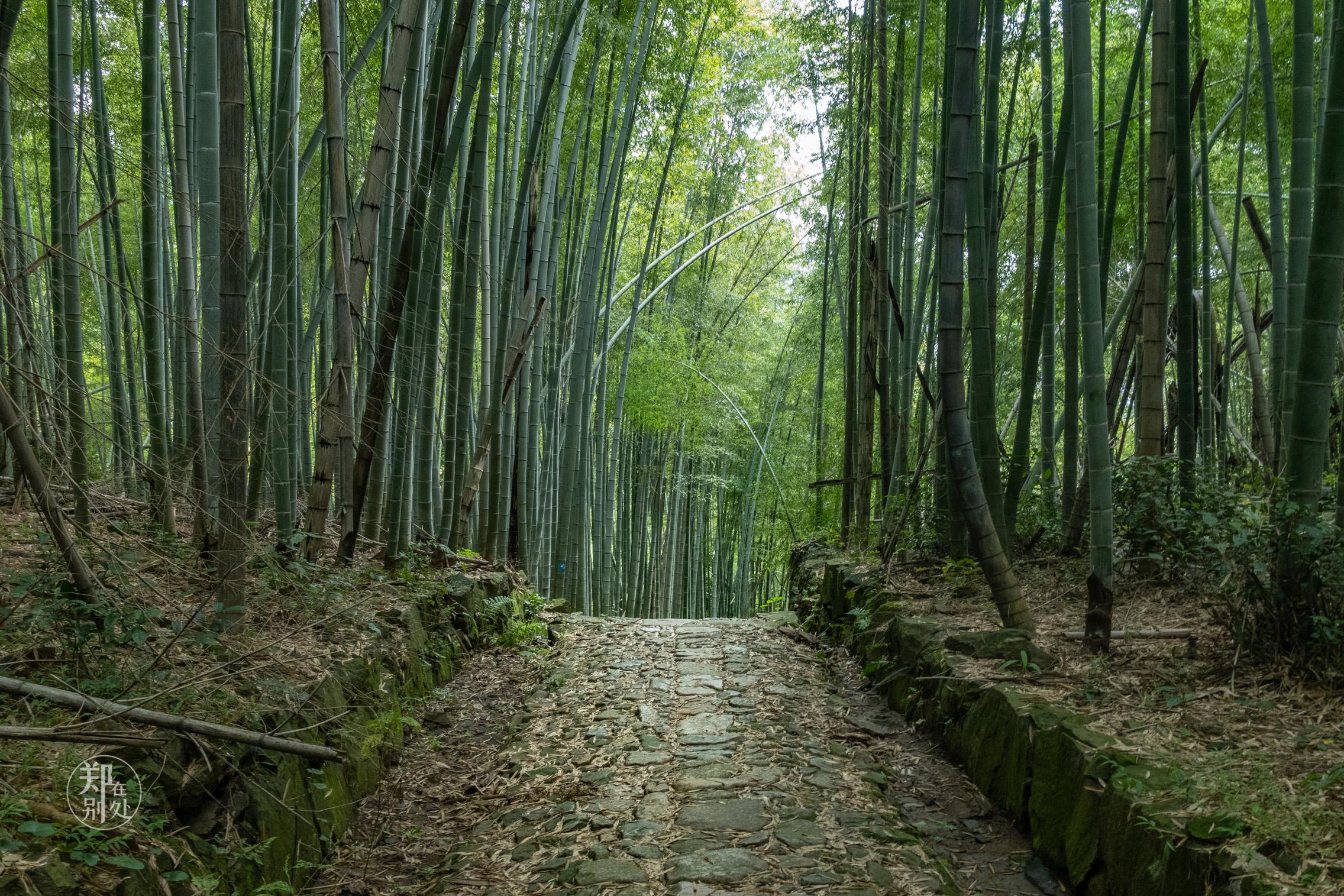 百科 第153页