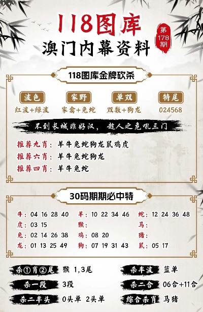 新澳内部高级资料,新澳内部高级资料详解