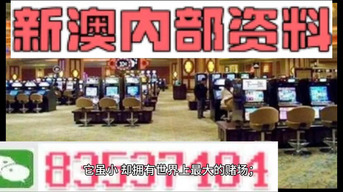 2025澳门正版精准资料大全,澳门正版精准资料大全——探索未来的蓝图（2025展望）