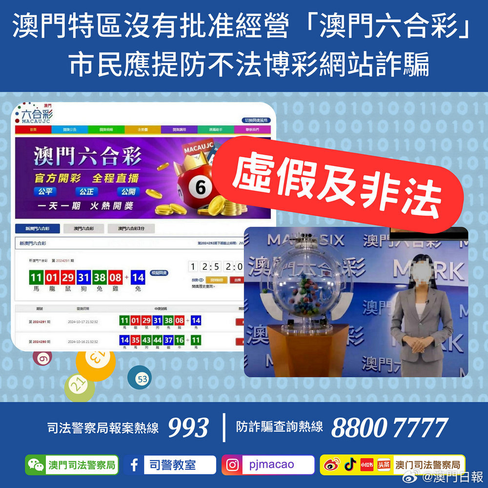 澳门大赢家com网址,澳门大赢家，探索一个成功网址的多元魅力