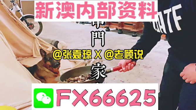 管家婆2023正版资料大全,管家婆2023正版资料大全，探索其特色与优势