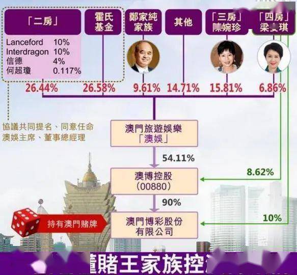 2025年澳门免费公开资料,澳门在2025年的公开资料免费共享展望