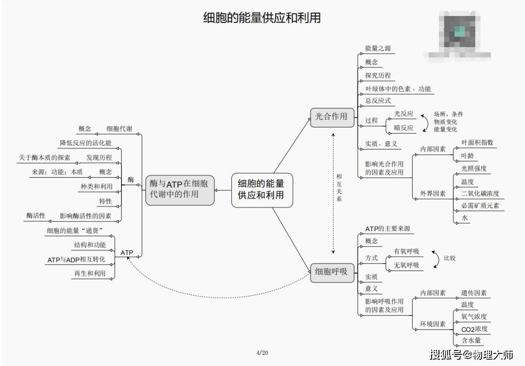 必中一组三肖三码,揭秘必中一组三肖三码的秘密