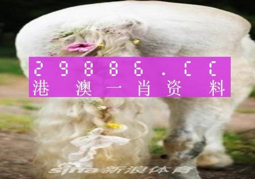 澳门一肖一码准选一码2023年,澳门一肖一码准选一码，探索与解析（2023年）