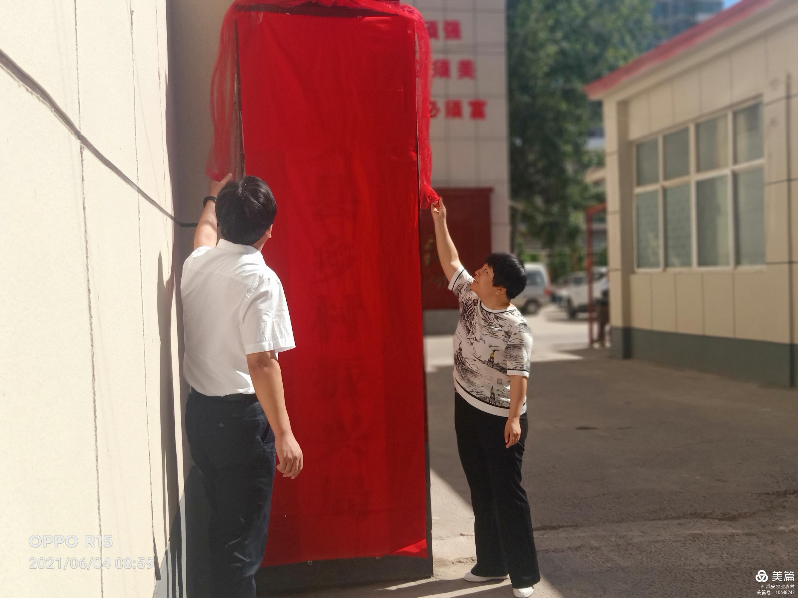 香港免费公开资料大全,香港免费公开资料大全，探索信息的宝库