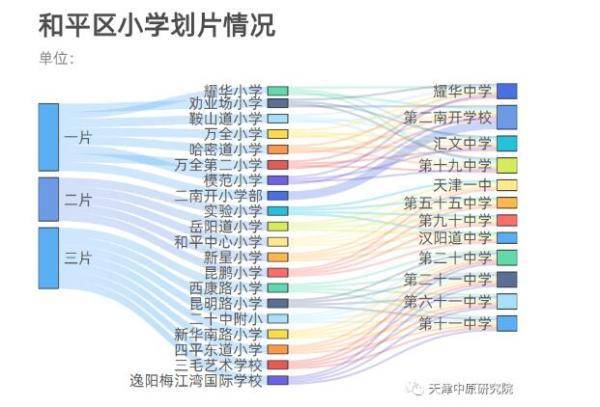 澳门一肖一码100,澳门一肖一码，揭秘彩票背后的故事与探索真实可能性