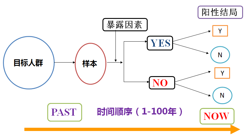 正版资料免费资料大全十点半,正版资料与免费资料大全，探索与利用的最佳时机在晚上十点半