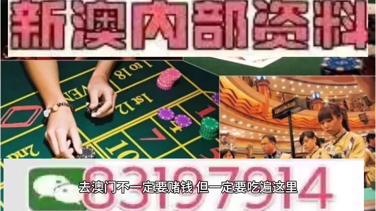 2025年新奥门天天开彩,探索未来新澳门，2025年天天开彩的新篇章