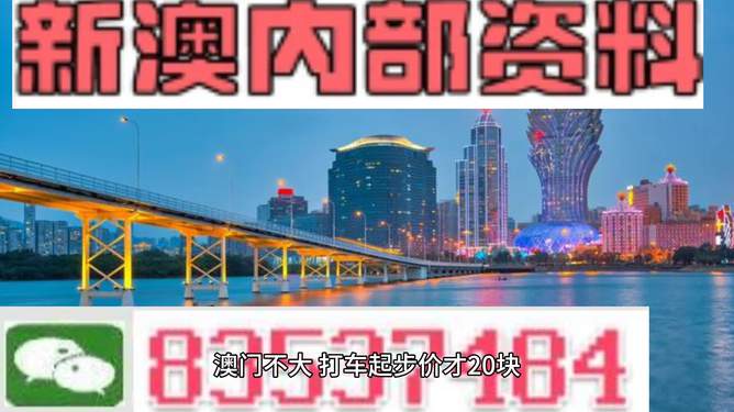 2025新澳门资料大全123期,澳门新资料大全，探索未来的奥秘与机遇（第123期）展望至2025年