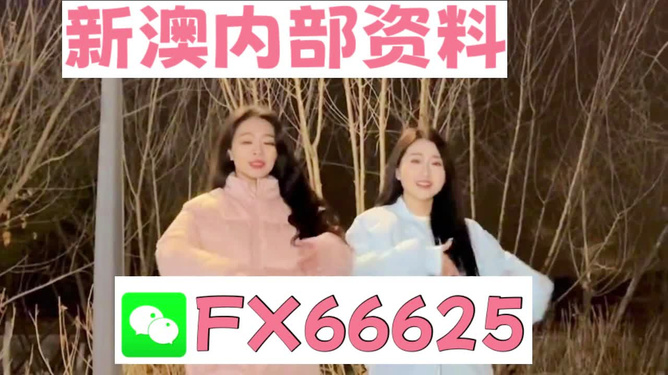 管家婆一码一肖100%,管家婆一码一肖，揭秘背后的秘密与真相，探寻真实概率背后的故事