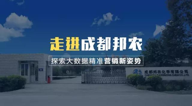 新奥门内部免费资料精准大全,新澳门内部免费资料精准大全，探索与解读