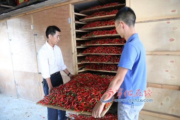 香港免费资料王中王资料,香港免费资料王中王资料详解